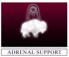 Herbs for Adrenal Exhaustion